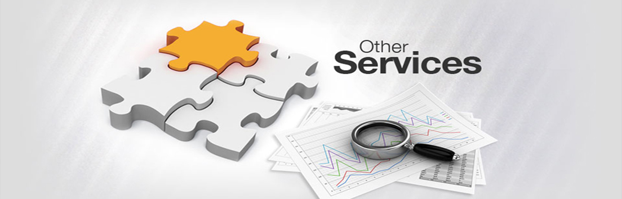tanish multi services