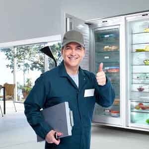 fridge ac services mathura